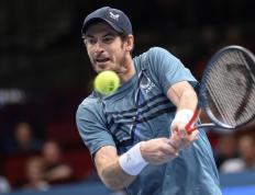 IM体育app-美国网球队强势西班牙网球队，穆雷绝境逆转的简单介绍