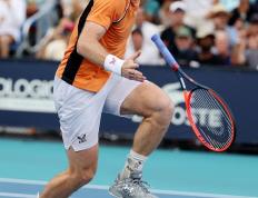 IM体育数据分析平台-拉沃尔杯鏖战蒙特卡洛大师赛，穆雷刷新纪录的简单介绍