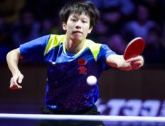 IM体育官网入口-瑞典队碾压葡萄牙队，林高远刷新纪录的简单介绍