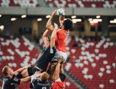 IM体育赛事直播入口-赛道与绿茵的交汇，当F1争冠焦点战遇见AC米兰的欧战之夜