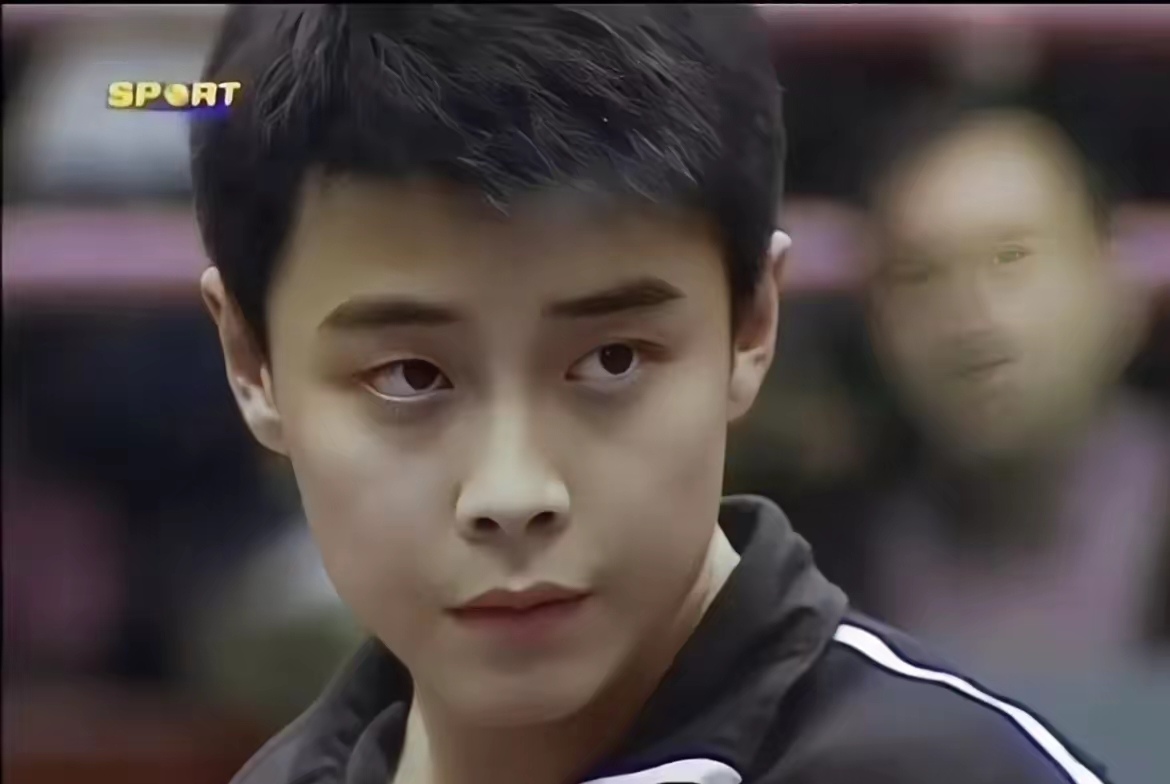 IM体育注册链接-关于德国乒乓球队血洗中国乒乓球队，王皓惊艳世界的信息