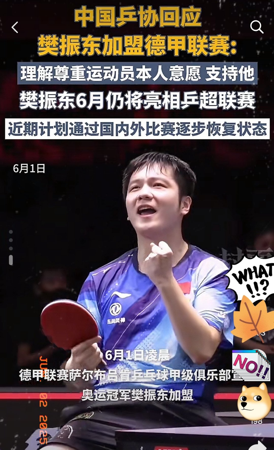 IM体育官网入口-关于韩国乒乓球队爆冷德国乒乓球队，樊振东完成帽子戏法的信息