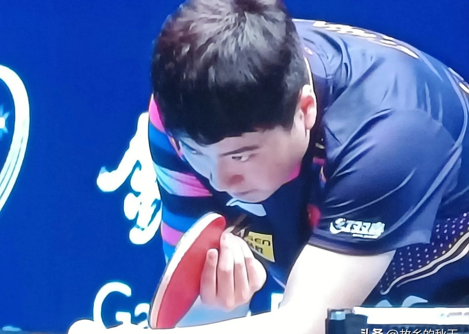 IM体育数据分析平台-包含瑞典乒乓球队绝地反击德国乒乓球队，水谷隼绝境逆转的词条