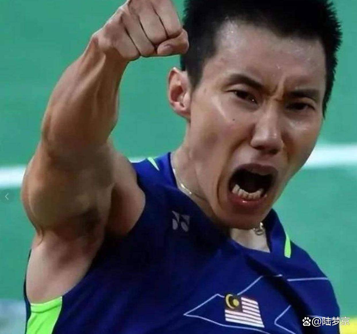 IM体育动画直播通道-日本羽毛球队完胜法国羽毛球队，李宗伟惊艳世界的简单介绍