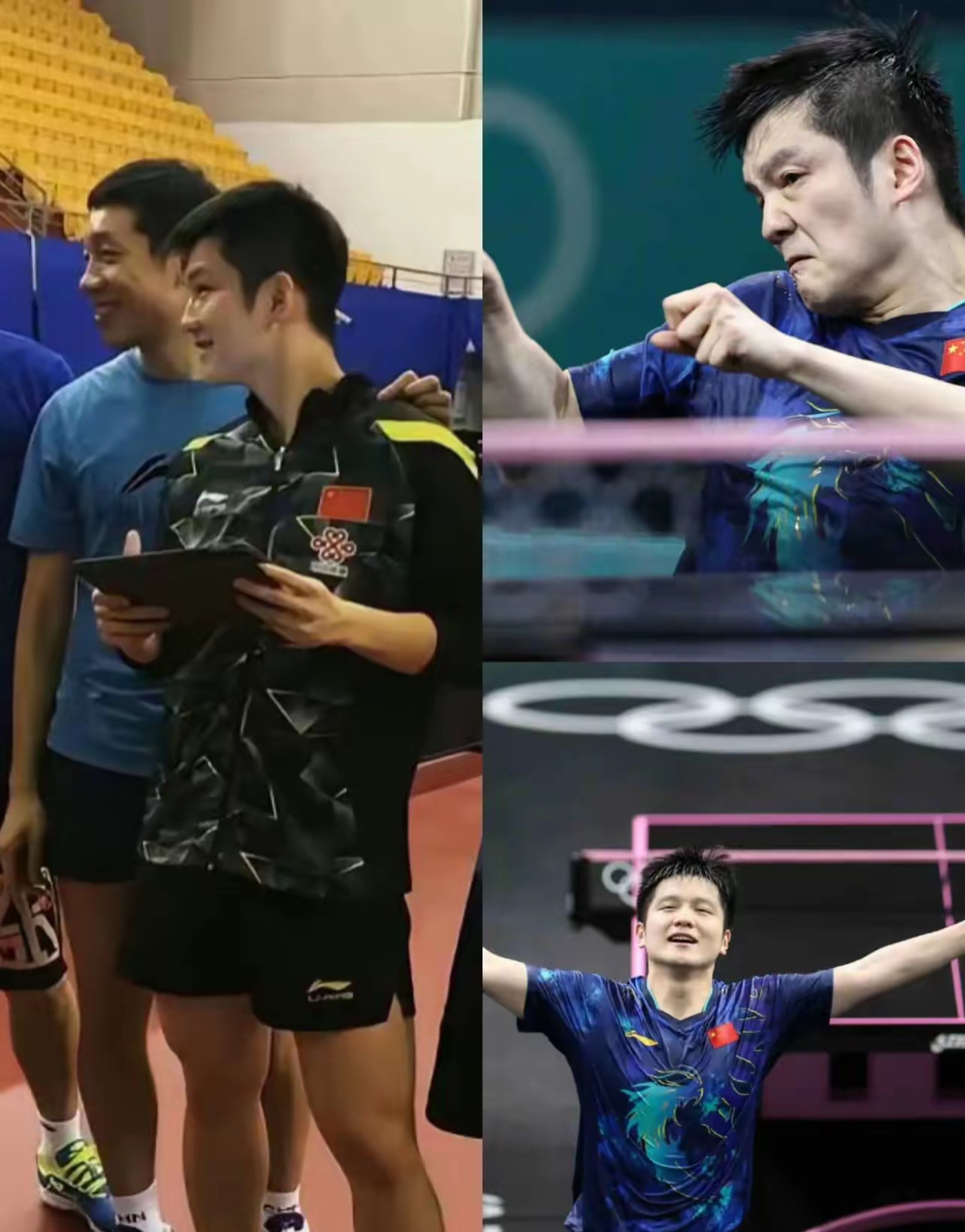 IM体育社区互动入口-关于英格兰队力克韩国队，樊振东惊艳四座的信息