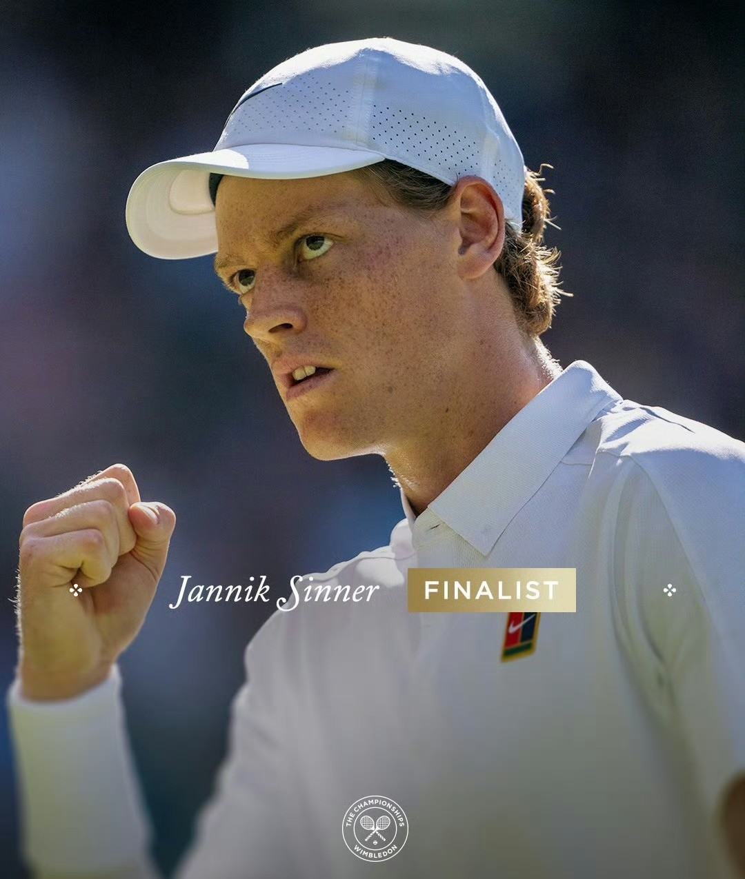 IM体育动画直播通道-关于戴维斯杯横扫澳网，辛纳高光表现的信息